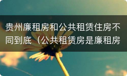 贵州廉租房和公共租赁住房不同到底（公共租赁房是廉租房吗）