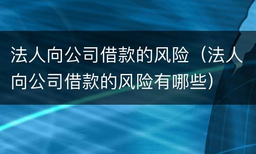 法人向公司借款的风险（法人向公司借款的风险有哪些）