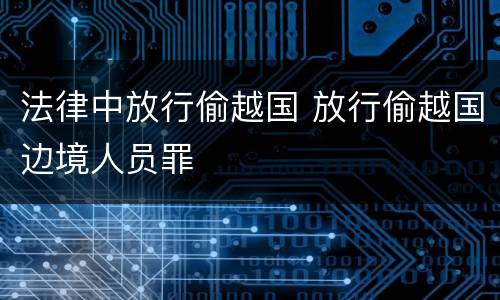 法律中放行偷越国 放行偷越国边境人员罪