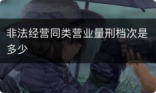非法经营同类营业量刑档次是多少