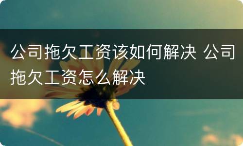 公司拖欠工资该如何解决 公司拖欠工资怎么解决