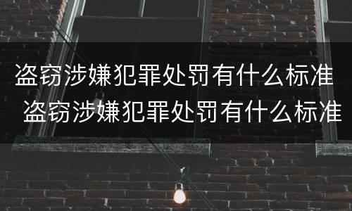 盗窃涉嫌犯罪处罚有什么标准 盗窃涉嫌犯罪处罚有什么标准嘛