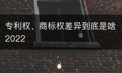 专利权、商标权差异到底是啥2022