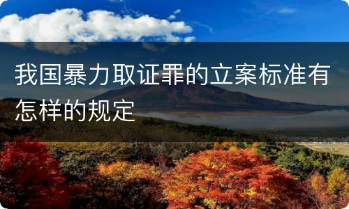 我国暴力取证罪的立案标准有怎样的规定