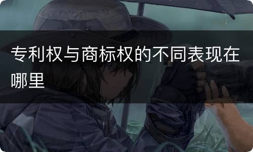 专利权与商标权的不同表现在哪里
