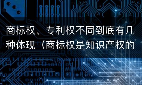 商标权、专利权不同到底有几种体现（商标权是知识产权的一种吗）