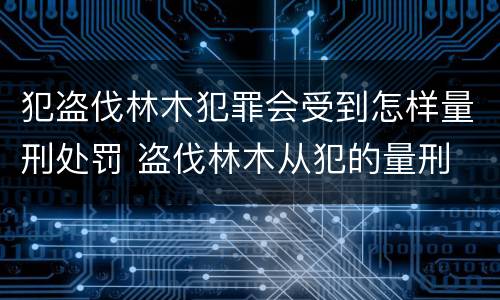犯盗伐林木犯罪会受到怎样量刑处罚 盗伐林木从犯的量刑
