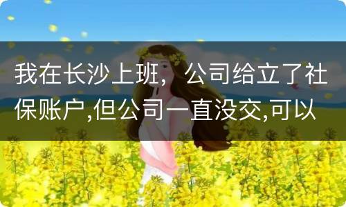 我在长沙上班，公司给立了社保账户,但公司一直没交,可以自己交吗