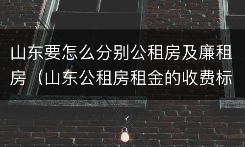 山东要怎么分别公租房及廉租房（山东公租房租金的收费标准）
