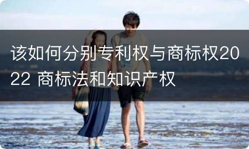 该如何分别专利权与商标权2022 商标法和知识产权