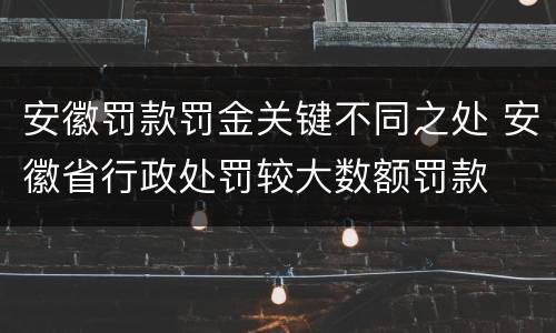 安徽罚款罚金关键不同之处 安徽省行政处罚较大数额罚款