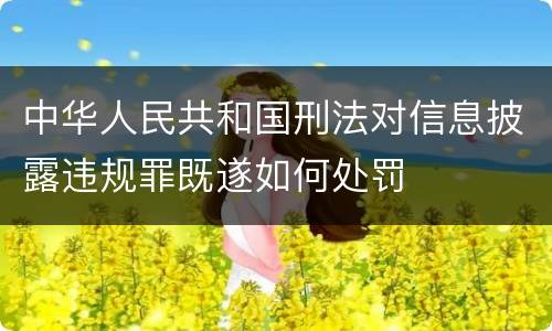 中华人民共和国刑法对信息披露违规罪既遂如何处罚