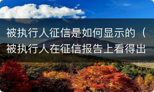 被执行人征信是如何显示的（被执行人在征信报告上看得出吗）