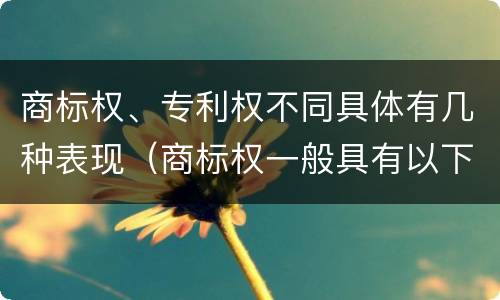 商标权、专利权不同具体有几种表现（商标权一般具有以下特征）
