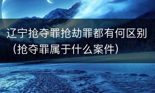 辽宁抢夺罪抢劫罪都有何区别（抢夺罪属于什么案件）