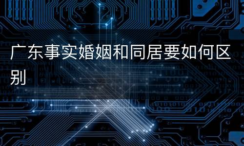 广东事实婚姻和同居要如何区别