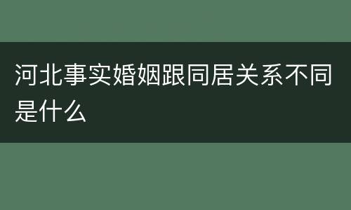河北事实婚姻跟同居关系不同是什么