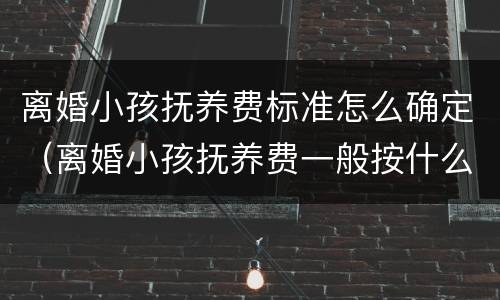 离婚小孩抚养费标准怎么确定（离婚小孩抚养费一般按什么标准）