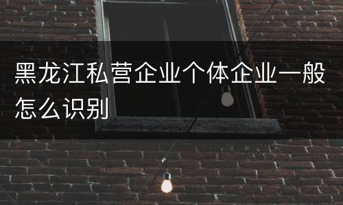 黑龙江私营企业个体企业一般怎么识别