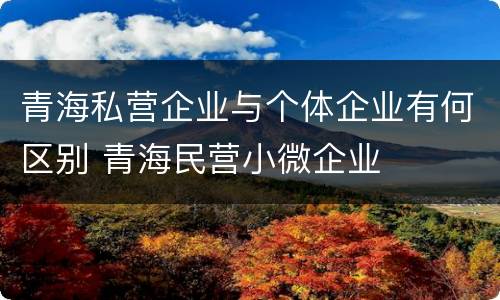 青海私营企业与个体企业有何区别 青海民营小微企业