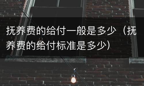 抚养费的给付一般是多少（抚养费的给付标准是多少）