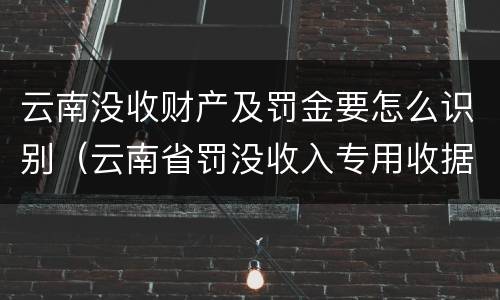 云南没收财产及罚金要怎么识别（云南省罚没收入专用收据）