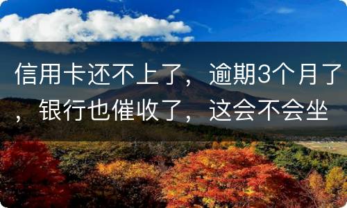 信用卡还不上了，逾期3个月了，银行也催收了，这会不会坐牢