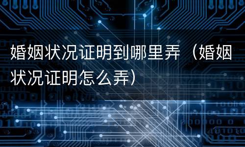 婚姻状况证明到哪里弄（婚姻状况证明怎么弄）