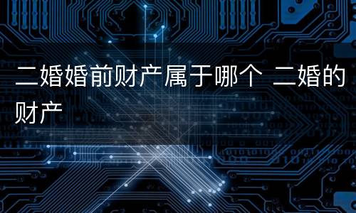 二婚婚前财产属于哪个 二婚的财产