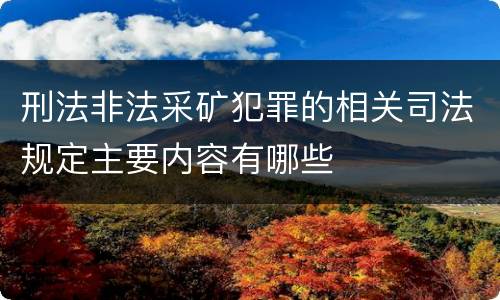 刑法非法采矿犯罪的相关司法规定主要内容有哪些