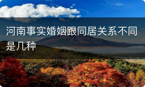 河南事实婚姻跟同居关系不同是几种