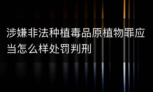 涉嫌非法种植毒品原植物罪应当怎么样处罚判刑