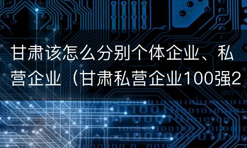 甘肃该怎么分别个体企业、私营企业（甘肃私营企业100强2018）