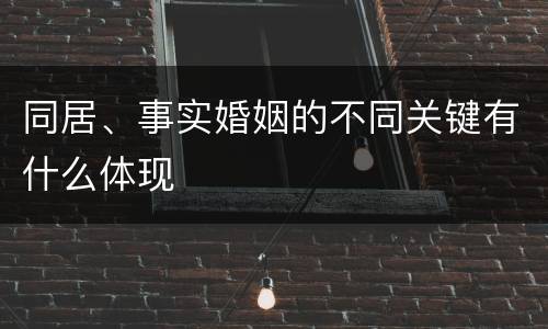 同居、事实婚姻的不同关键有什么体现