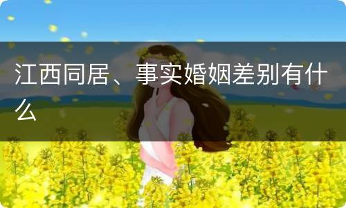 江西同居、事实婚姻差别有什么
