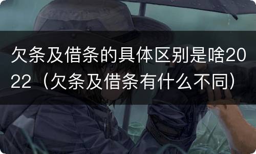 欠条及借条的具体区别是啥2022（欠条及借条有什么不同）