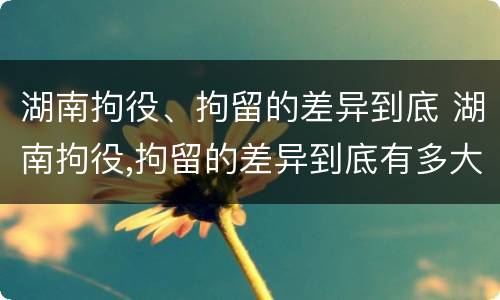 湖南拘役、拘留的差异到底 湖南拘役,拘留的差异到底有多大