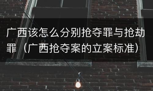 广西该怎么分别抢夺罪与抢劫罪（广西抢夺案的立案标准）