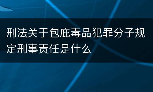 刑法关于包庇毒品犯罪分子规定刑事责任是什么