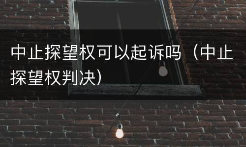 中止探望权可以起诉吗（中止探望权判决）