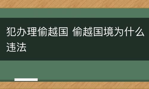 犯办理偷越国 偷越国境为什么违法