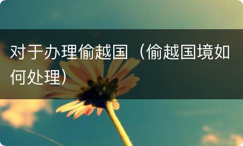 对于办理偷越国（偷越国境如何处理）