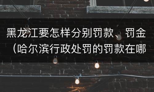 黑龙江要怎样分别罚款、罚金（哈尔滨行政处罚的罚款在哪交）