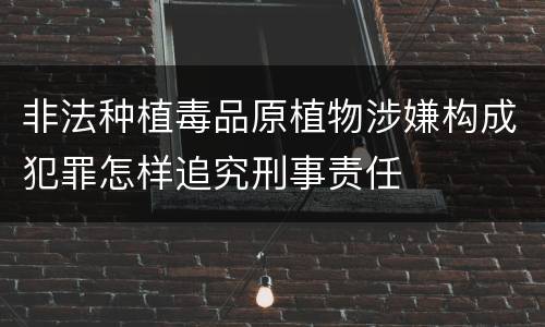非法种植毒品原植物涉嫌构成犯罪怎样追究刑事责任