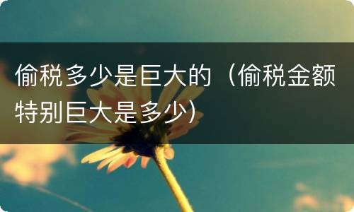 偷税多少是巨大的（偷税金额特别巨大是多少）