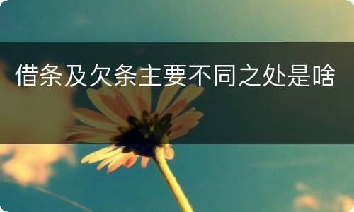 借条及欠条主要不同之处是啥