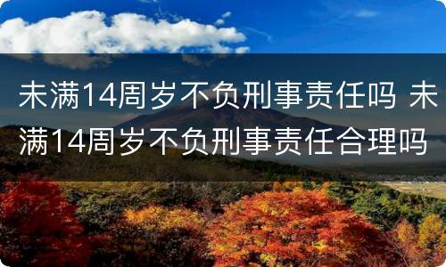 未满14周岁不负刑事责任吗 未满14周岁不负刑事责任合理吗