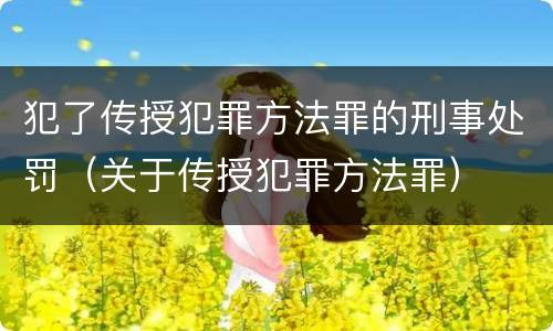 犯了传授犯罪方法罪的刑事处罚（关于传授犯罪方法罪）