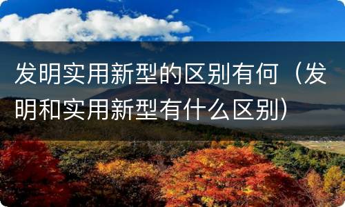 发明实用新型的区别有何（发明和实用新型有什么区别）