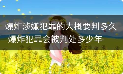 爆炸涉嫌犯罪的大概要判多久 爆炸犯罪会被判处多少年